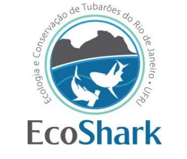ECOSHARK - Ecologia, Conservação e Monitoramento dos Tubarões do Rio de  Janeiro